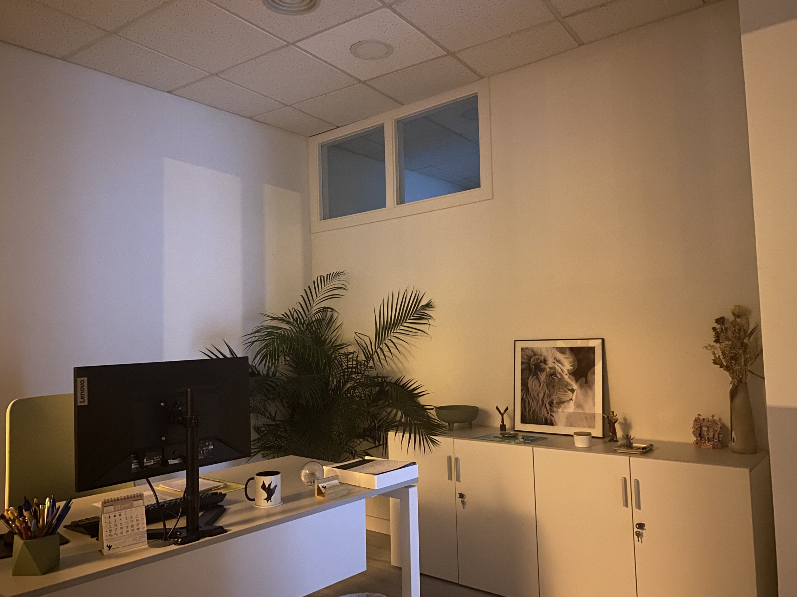 Servicios Integrales De Consultoría A Empresas Y Profesionales.